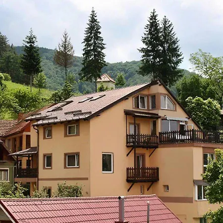 Casa Cristina Брашов