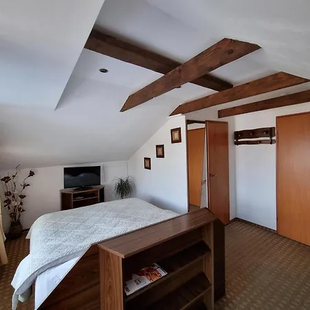 Casa Cristina Guest house Brasov