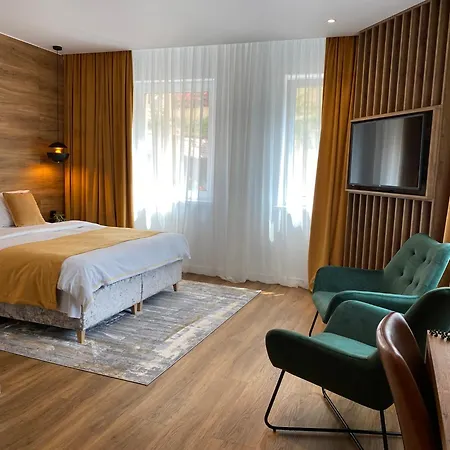 Casa Cristina Guest house Brasov