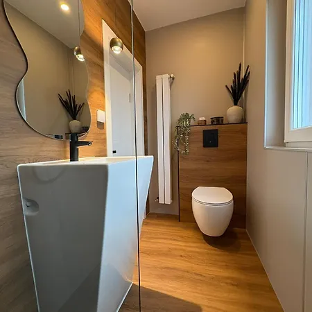 Guest house Casa Cristina Brasov