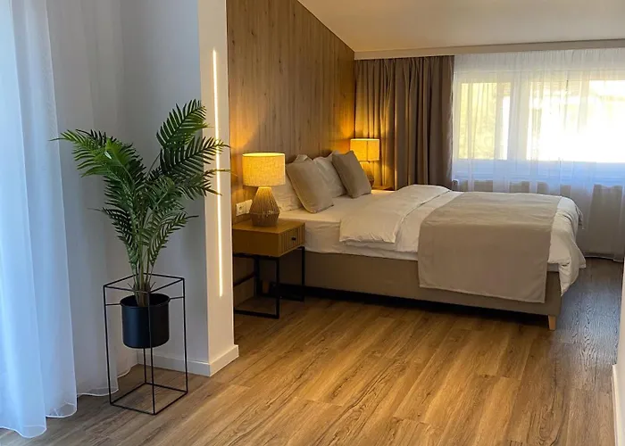 Guest house Casa Cristina Brasov